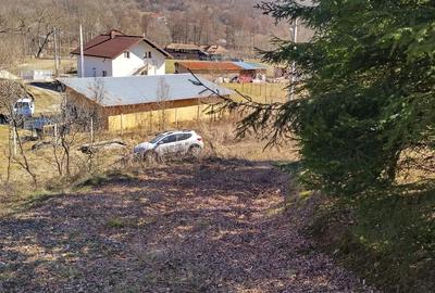 Casă cu 2 camere cu Teren 4000 Mp în Ursoaia - 1