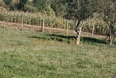 Casă cu 3 camere în Cincșor - 3