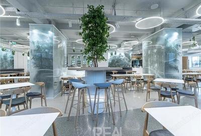 Spațiu comercial, în Barbu Văcărescu - 5