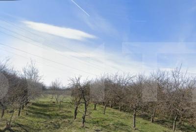 Teren de 1000 mp, în Bună Ziua - 2