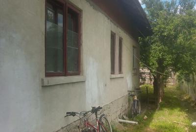 Casă cu Teren 8643 Mp în Târgu Cărbunești