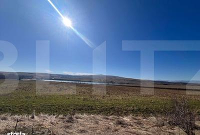 Teren de 15000 mp, în Ciurila - 1