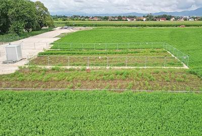 Teren Industrial - 21