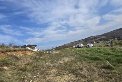 Spațiu comercial, în Baciu - 4