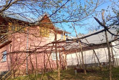 Casă cu 3 camere în Dancu - 2