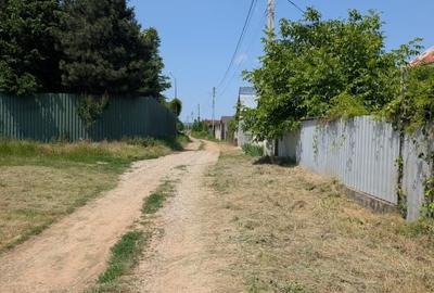 Teren Magura Farbe , 4600m dubla deschidere - 8