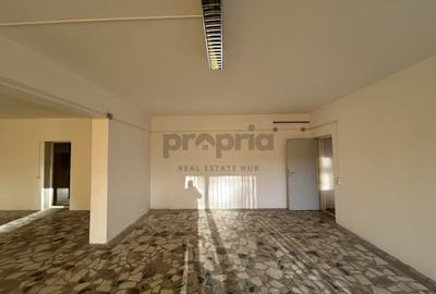 IMOBIL CU MULTIPLE DESTINAȚII - PRETABIL INVESTIȚIE - ORAȘ RUPEA - 0% COMISION - 18