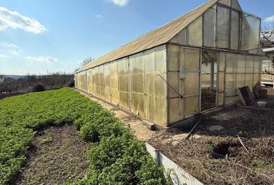 Spațiu comercial, în Belcești - 3