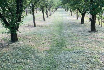 Teren de 2000 mp, în Dezmir - 2