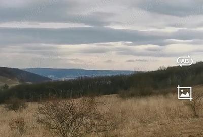 Teren de 1000 mp, în Remetea - 3