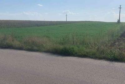Teren Construcții intravilan de 5800 mp, în Gligorești
