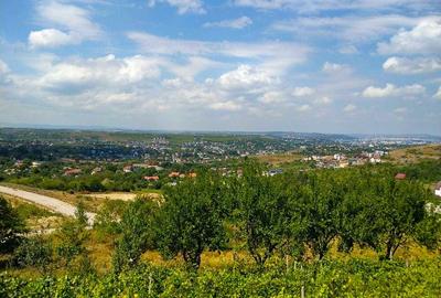 Vand casa tip duplex zona Bucium - 9