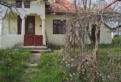 Teren Construcții intravilan de 2500 mp, în Dealu Bradului - 6