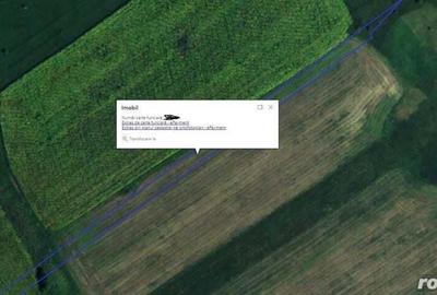 Teren extravilan arabil Ardeoani, ID: R1983077 - 3