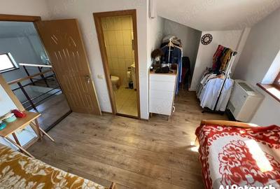 Casa de vacanta P+M,anexa de exploatatatie agricola - 7