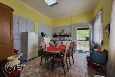 Casa P+1+M, Lipova - 4