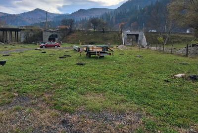 Teren de inchiriat 1 - 1