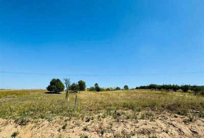 Teren intravilan de 5718 mp, în Băile Felix - 3
