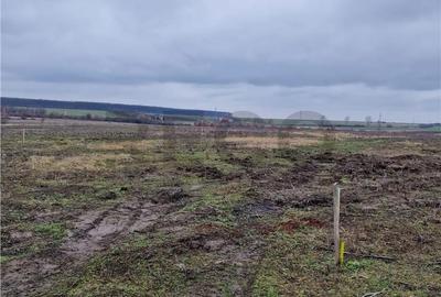 Teren de 500 mp, în Nojorid