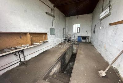 Teren 2100mp si hale de inchiriat zona Iosia - 7