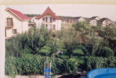 Magurele, casa de vanzare + magazin autoservire - 5