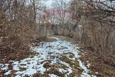 Teren de 1577 mp, în Schei - 9