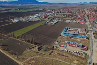Teren agricol intravilan de 30000 mp, în Hălchiu - 2