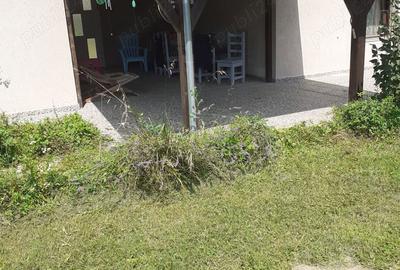 Casă cu 4 camere cu Teren 1400 Mp în Urvișu de Beliu - 5