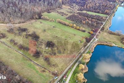 Spațiu comercial, în Sadu - 2