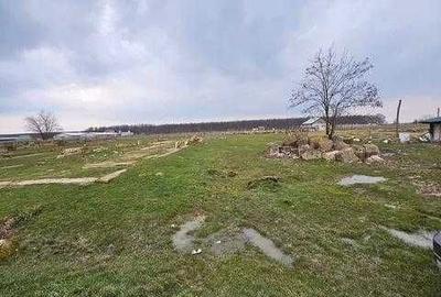 Spațiu comercial, în Central - 2