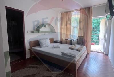 DE VANZARE Pensiune cu piscina, pastravarie, zona spa locatie de vis - 16