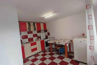 Casă cu Teren 1528 Mp în Optași - 7