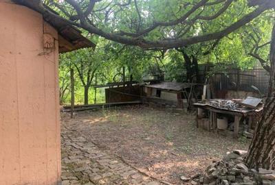 Casa 3 camere cu 2 fronturi plus 860 mp Lipovei-Aradului 178000 euro - 2