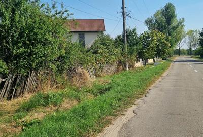 Teren de 5000 mp, în Groși - 3