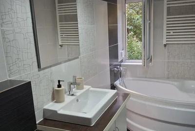 Inchiriere Garsoniera cu Boiler Mosilor - 5