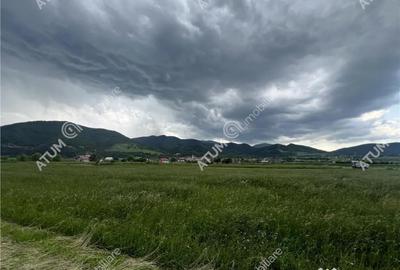 Teren de 3477 mp, în Boița - 6