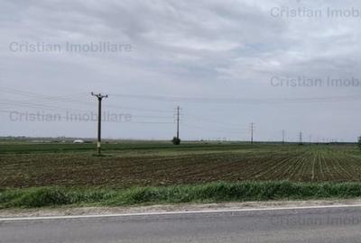 Teren soseaua de Centura, la sosea, 7500 mp - 2