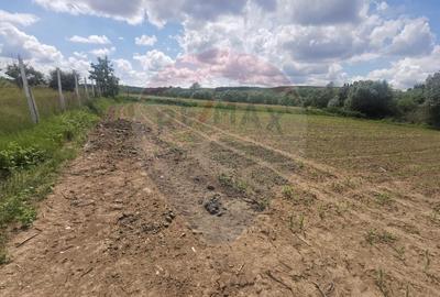 DE VANZARE TEREN INTRAVILAN ?omcuta Mare (0% comision) - 3