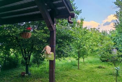 Casă individuală cu 4 camere cu Teren 530 Mp în Răzvad - 2