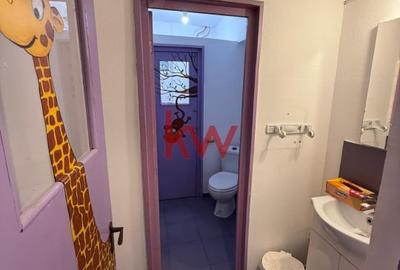 Spatiu Comercial de Inchiriat Pacurari - 5