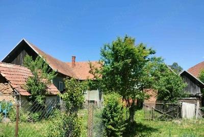 Casă cu 4 camere cu Teren 2418 Mp în Dumbrava - 2