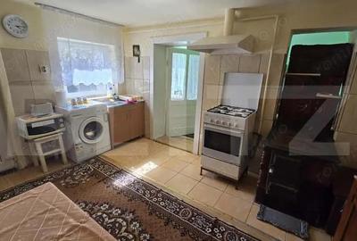 Casa cu 3 camere in Turdas - 4