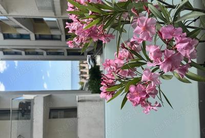 Apartament cu 2 camere decomandat în Nord - 8