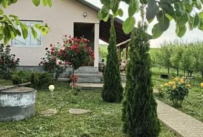 Casă cu 2 camere cu Teren 1751 Mp în Central - 8