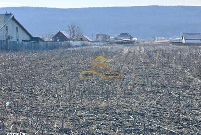 Spațiu comercial, în Hemeiuș - 3
