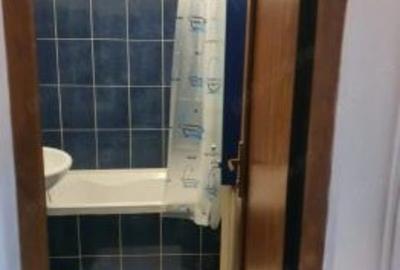 Garsonieră semidecomandată, mobilată în Costin Georgian - 4