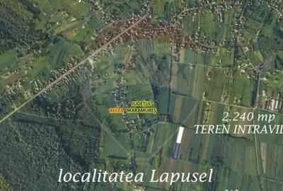 Teren de 2240 mp, în Lăpuș