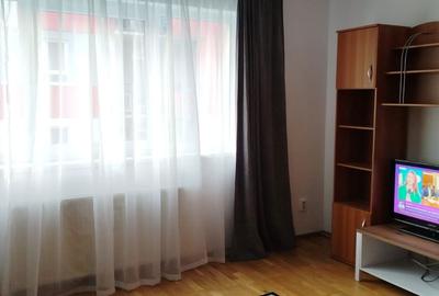Apartament cu 2 camere decomandat în Turnișor - 6