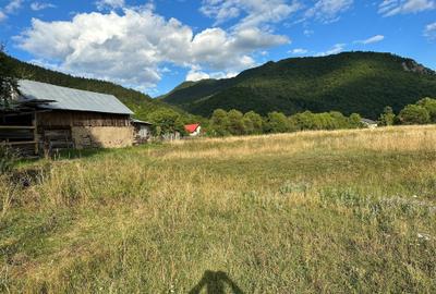 Spațiu comercial, în Lepșa - 1
