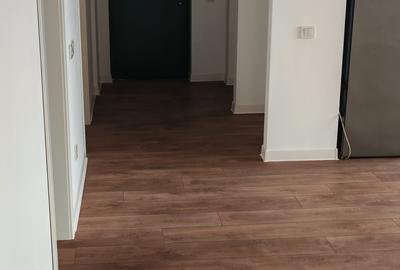 Apartament 4 camere Straulesti - 46